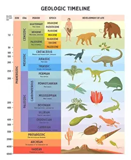Geologische Zeitleiste Skalenvorstellung Illustration