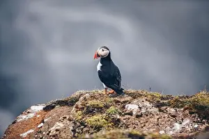 Iceland