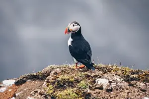 Iceland