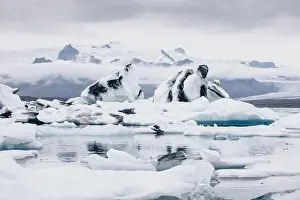 Iceland