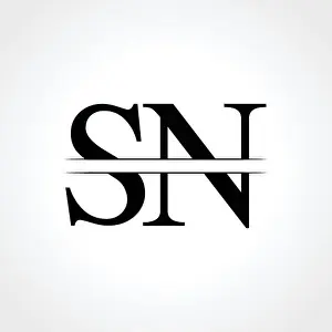 Anfangsbuchstabe SN Logo-Design Vektor-Vorlage. SN Buchstaben-Logo-Design