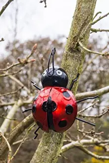 Drucke von Ein Skulptur einer Marienkäfer auf einem Baum im Epping Forest, South Woodford, London, England Abstrakte Kunst Drucke: Ein Skulptur einer Marienkäferin auf einem Baum im Epping Forest