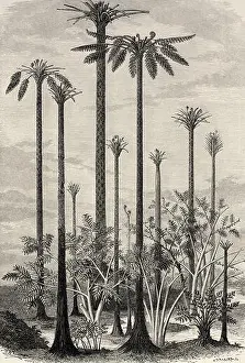 Landschaftsfotografie Drucke: Landschaft der primitiven Welt
