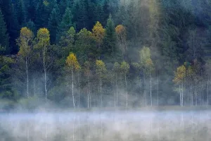 Herbstlandschaft im Gebirge mit Bäumen, die sich im Wasser spiegeln, am See von Sânană, Rumänien