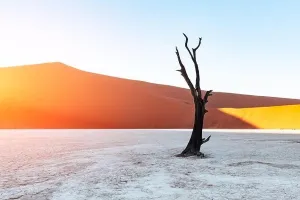 Tote Kamelhorn-Bäume zum Sonnenaufgang im Deadvleï, Namaqua-NationalparkNamibia Afrika Toter Wald im naminischen Wüstenland Landschaftsfotografie