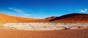 Tote Bäume im Toten Teich - Sossussvlei, Namib-Wüste, Naminia