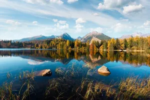 Dramatischer grauer Himmel unter orangefarbenen Fichtenwald am Bergsee Strbské pleso im Nationalpark Hochtatraschwein, Slowakei, Europa
