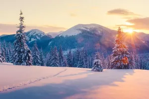 Ein dramatischer, winterlicher Landschaftsbild mit schneebedeckten Bäumen