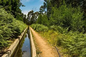 Gerahmter Druck : Levada Nova in Calheta Madeira Gerahmter Druck : Levada Nova in Calheta Madeira