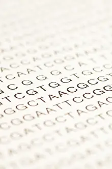 Liste von DNA-Testbriefen