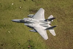Mache einen Loop mit dem F-15 Eagle