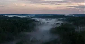 Fog über einen Wald während des Sonnenaufgangs
