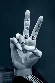 Modell der menschlichen Hand mit Fingern, gedruckt auf 3D-Drucker.