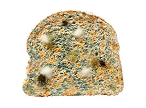 Fettig Stück Brot