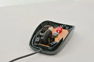 Öffnen Sie den Computer-Maus mit dem geöffneten elektronischen Kreislauf für Wartung, Symbol der Technologie und des Modern Computing. Perfekt für Konzepte zur Technik und die Digitale Welt