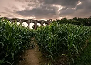 Brücke über die Ouse-Waldbahn durch den Maisfelder