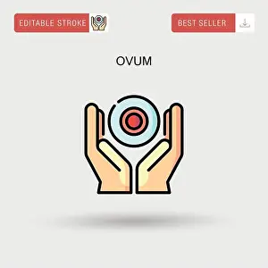 Ei einfacher Vektor-Icon