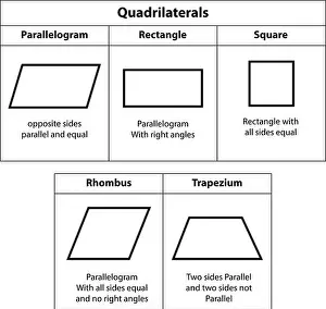 Vielfache. Parallelogramm, Rechteck