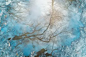 Spiegelbild eines Baumes im Becken als Hintergrund