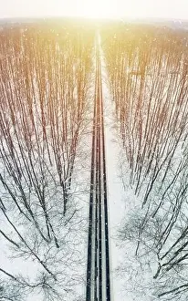 Gerahmter Druck : Straße durch Winterwald