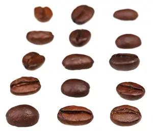 Reihen und Spalten aus gerösteten Kaffeebohnen mit Fokus Vordergrund.
