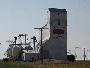 Samenschleimung von Samen im Getreidehafen Bracken in der Provinz Saskatchewan Kanada innerhalb des Palliser-Trikots von Brian Martin RMSF
