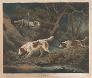 Schießen: Stellvertreter William Ward um 1766 bis zum Jahr1826 aus Großbritannien nach George Morland um1923-04-1804 britisch vonHand gefärbt, Blatt:15 x 17 1/2in