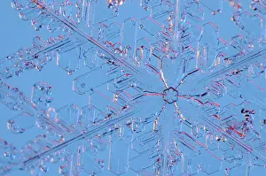 Schneeflocke unter dem Mikroskop vergrößert.