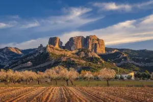 Sonnenuntergang im Frühling an den Felsen Roques de Benet, im Els Ports Naturpark, mit blühenden Mandelbäumen im Vordergrund (Terra Alta, Tarragona, Spanien).