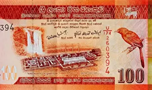 Sri Lanka hundert Einhundert Rufiyaa Notenbanknote