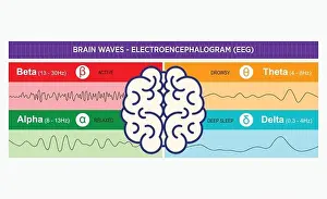 Untersuchung des Gehirnschwingungen-Delta- bis Gamma-Muster messen und die Gehirnaktivität auf einem EEG-Gehirnwellschafter einstellen: Kopf der Person im Diagramm