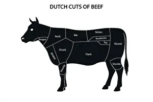 Visuelle Diagramm der niederländischen Rinderkutten, auf einem Kuh-Silhouette beschriftet, zeigt verschiedene Fleischabschnitte.