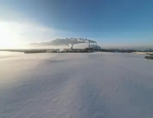 Winterschönheit