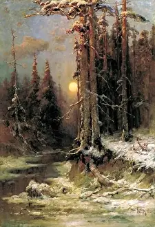 Winter-Sonnenuntergang im Tannenwald.