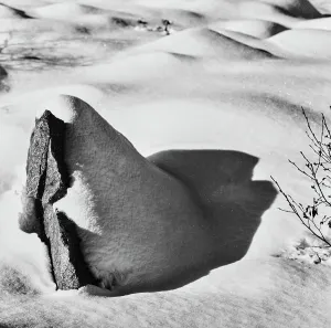 Swiss Winter Landscapes Drucke: Snow