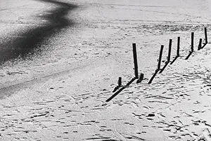 Cold Climate Photography Drucke: Snow