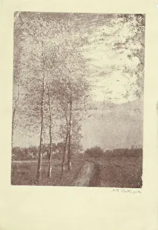 Landscape Photography Italy Drucke: Trees