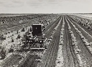Agricultural Landscape Images Drucke: Agricultural work