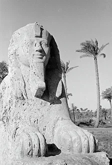 Egyptian Sphinx Drucke: The alabaster sphinx of Memphis