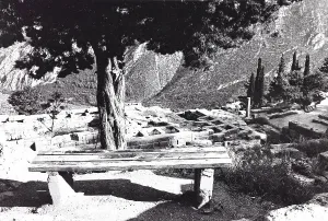 Ancient Greek Ruins Greece Drucke: Archaeological Site of Delphi