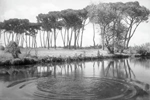 River Course Scenery Drucke: The Arno near Sofina, Pisa