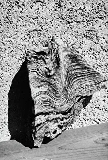 Swiss Mountain Landscapes Drucke: August 1994, Celerina