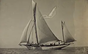 AVQ-A-000059