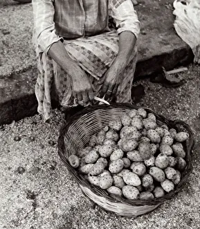 Botanical Still Life Photography Drucke: Basket of figs