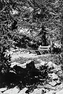 Botanical Garden Architecture Drucke: Bench in a park