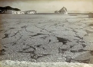 Polar Region Landscape Drucke: Blocks of ice floating in Antarctica