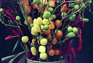 Vintage Food Images Drucke: Bunch of chillies
