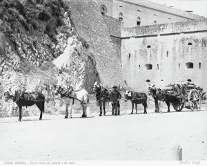 Rural Scene Europe Drucke: A cart pull by mules and horses