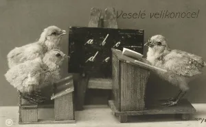 Bird Communication Drucke: Chicks at school