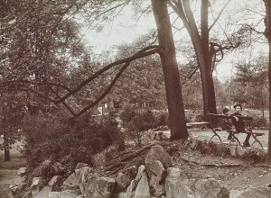 Botanical Garden Scene Drucke: Children in the park
